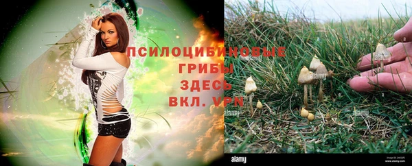 кокаин Ельня