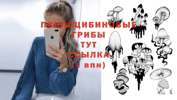 дурь Елизово