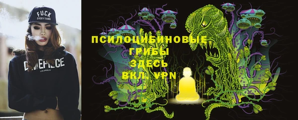 mdpv Елабуга