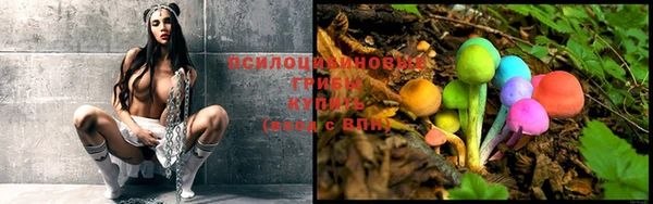 mdpv Елабуга