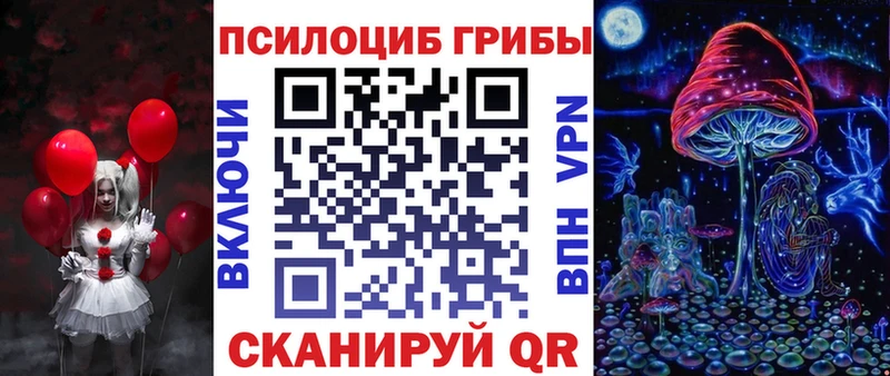 Купить закладки  Эртиль  Галлюциногенные грибы Magic Shrooms 